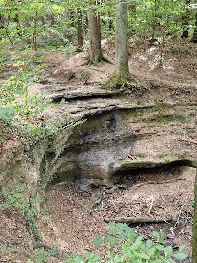 Camping Moritzberg - Visual