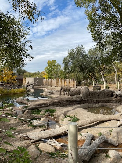 Elephant Encounter at Hogle Zoo