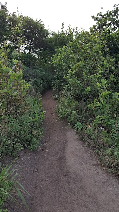 Photos of Morro do Pontal de Sernambetiba
