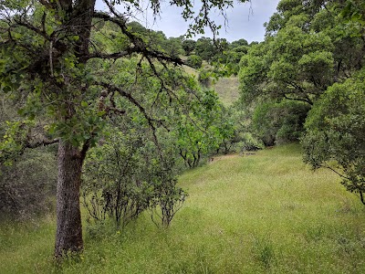 Low Gap Park