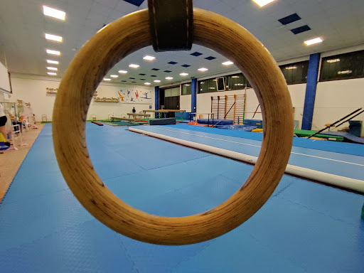 Free Sport Libertas - Ginnastica Artistica Logo