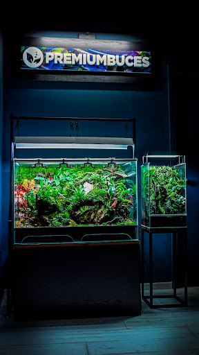 Premiumbuces - Tienda Online de Plantas de Acuario y Terrario - Thumbnail