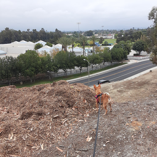 Loma Linda Large Dog Park - Thumbnail