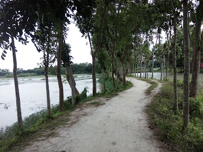 Photos of Project Sun Shine By Shuvo