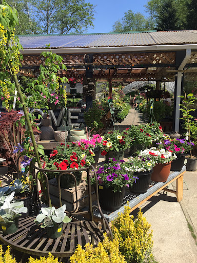 Springtime Garden Centre Gallery - Canada
