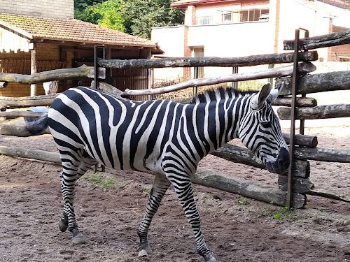 Lietuvos zoologijos sodas