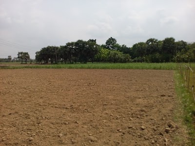 Photos of Jessore Airport JSR