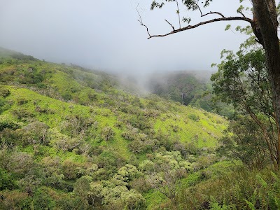 Waihee Ridge Trail