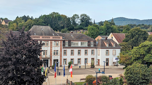 Photo de Communauté de Communes de la Plaine du Rhin à Beinheim (67930)