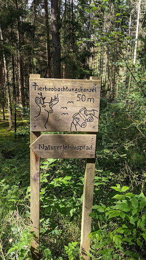 Tierbeobachtungskanzel Gallery - Germany