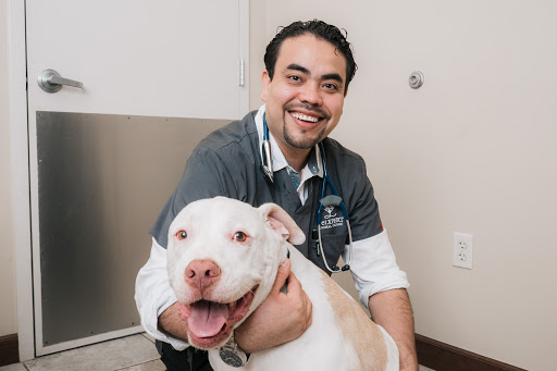 Pet Xpert Animal Clinic