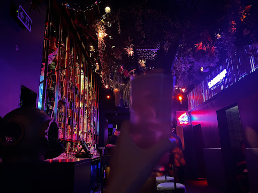 Saumur Crystal Club - Thumbnail