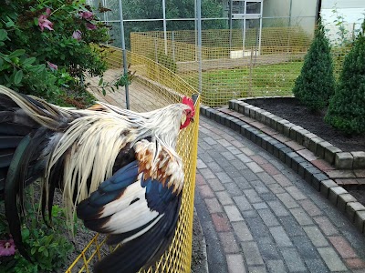 Photos of Vogelpark "De Lorkeershoeve"