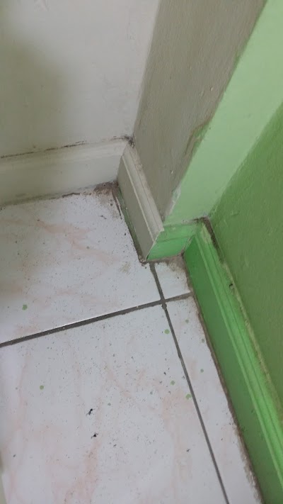 Photos of Village Hotel