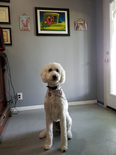 Advanced Pet Services Gallery - United States