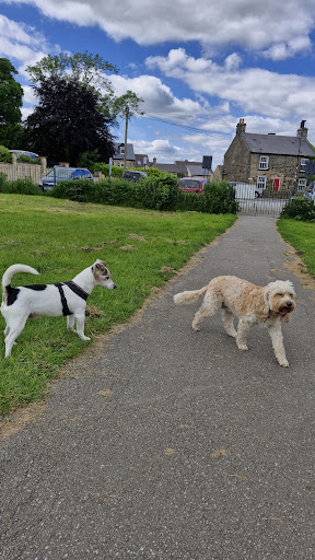 Stannington Park - Thumbnail