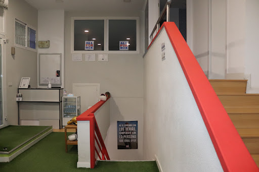 All For Box Gimnasio Gallery - Spain
