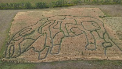 CCCC Corn Maze & Pumpkin Patch