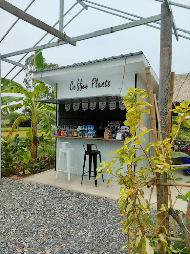 ร้านCoffee Plants