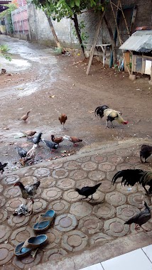 Taman Burung Vila Nusa Indah, Author: Kyu War