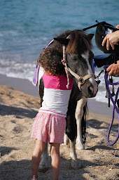 Photo n°13 de Centre équestre de Porticcio - Centru equestru di Purtichju à Grosseto-Prugna (Club d'équitation)