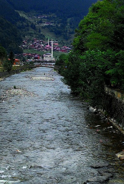 Photos of Bahadır G&ouml;zleme