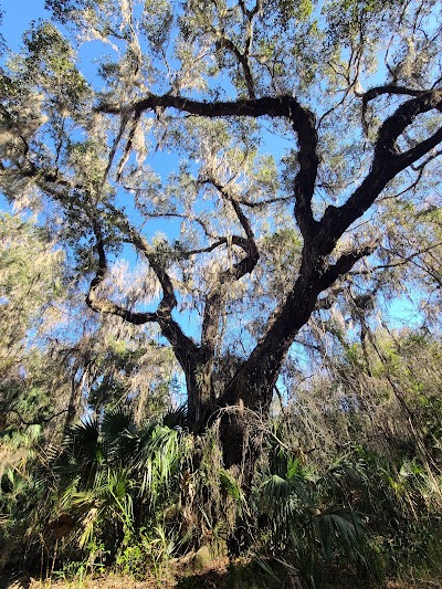 Alachua Savannah Visitor Center & Tower