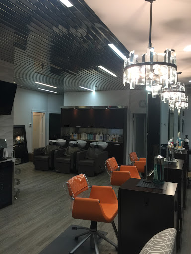 Salon Aquatica - Visual