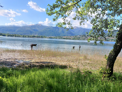AL LIDO - Merone - Thumbnail