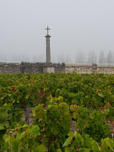 Cantenac 33460 Margaux-Cantenac, France