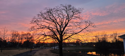 Lincoln Park Community Lake - Thumbnail