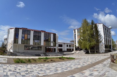 university