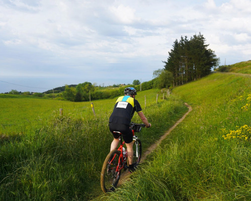BikePicos - Visual