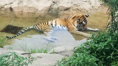 Erie Zoo