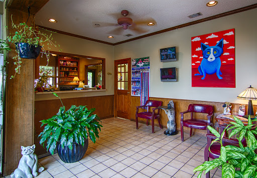 Briarwood Animal Hospital - Thumbnail