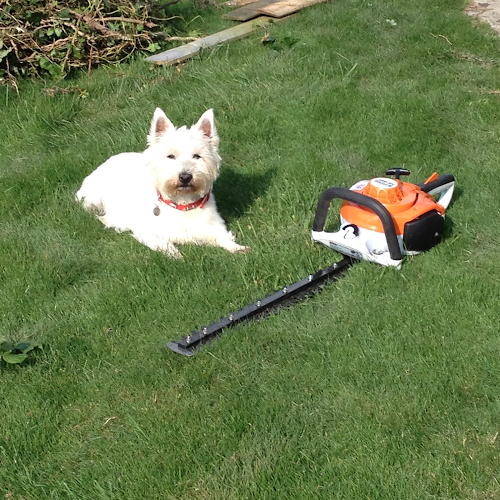 Snappy Lawns&Gardens Open Times