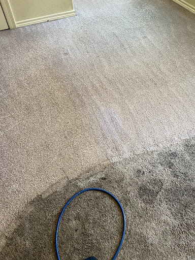 Absolute Floor Care of SETX - Thumbnail