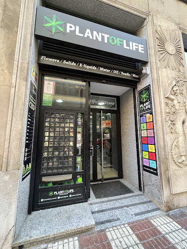 Plant Of Life Castellon CBD - Thumbnail
