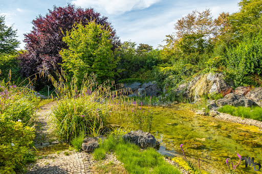 TRACO Park - Visual