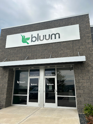 Bluum - Visual
