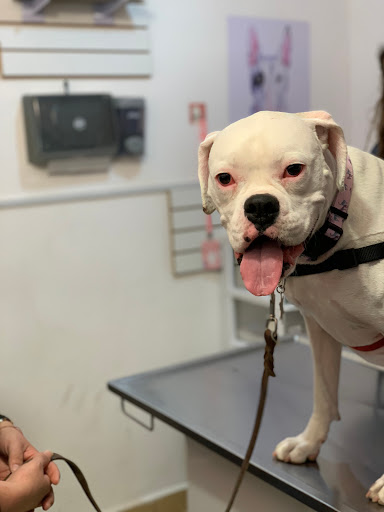 Clinica Veterinaria DnC Medical Care - Thumbnail