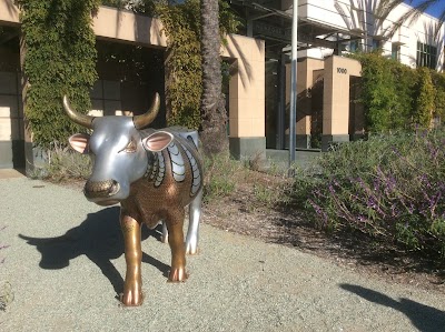 Photos of Friends of the Newport Beach Library
