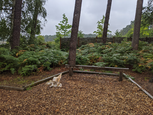 Falconry Centre - Visual