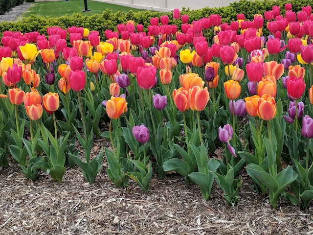 Philbrook Museum of Art