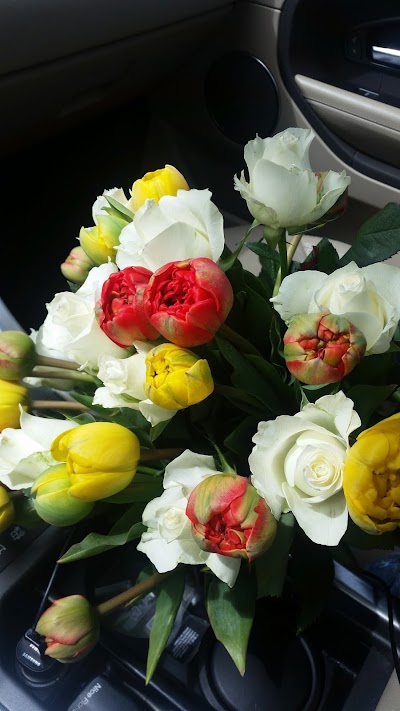 Photos of Magnolijas Zieds