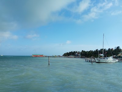 Photos of Paradise Too Hotel