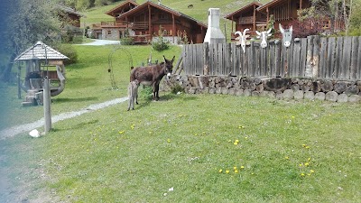 Photos of Proneben Gut - Erlebnisbauernhof & Kuschelh&uuml;tten Chalets