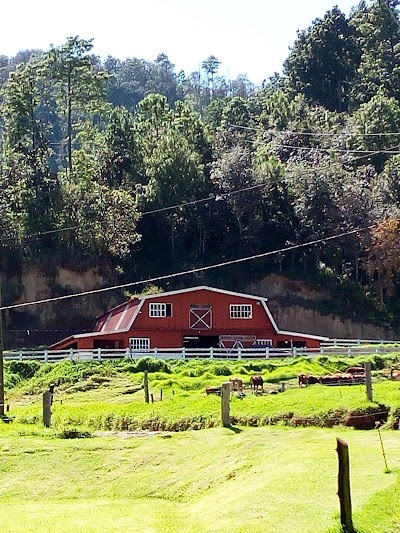 Photos of Finca La Colina