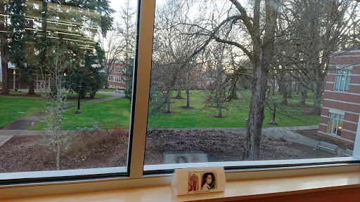 Tran Library - Visual