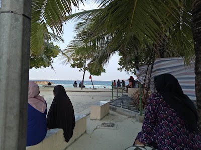 Photos of Artificial Beach